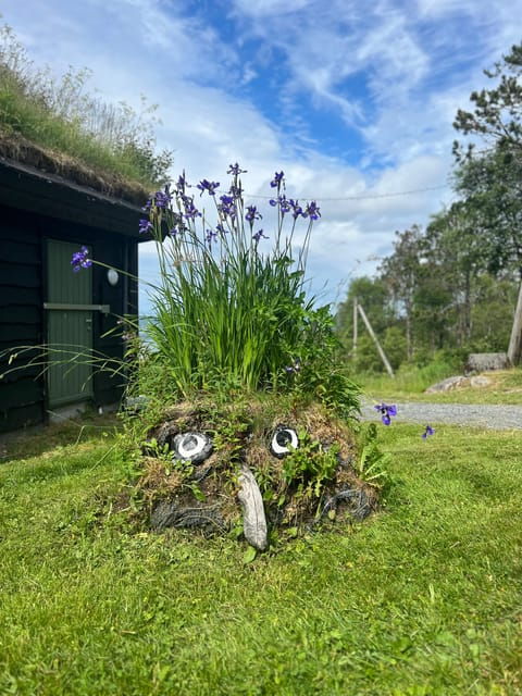 bergen-magical-nature-tour-viflowexperience
