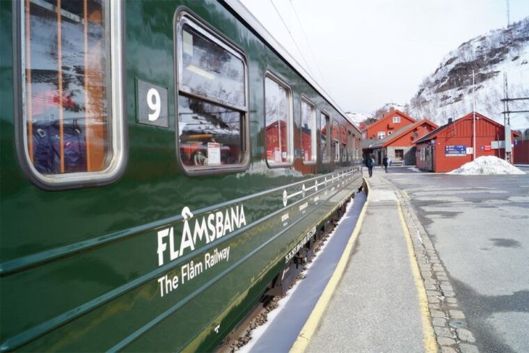 bergen-private-day-tour-naeroyfjord-cruise-and-flam-railway