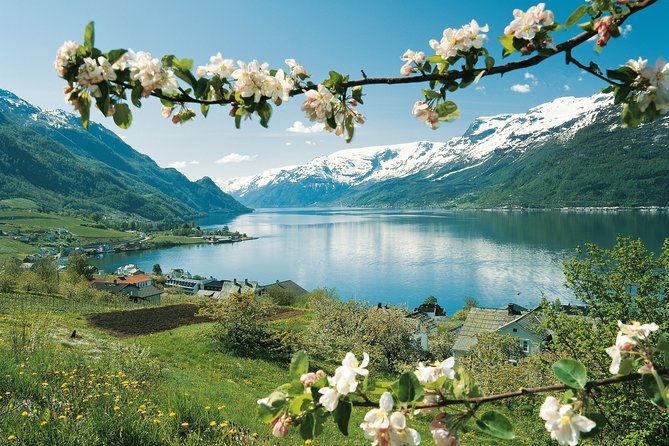 bergen-private-full-day-roundtrip-to-hardangerfjord-with-cruise-2