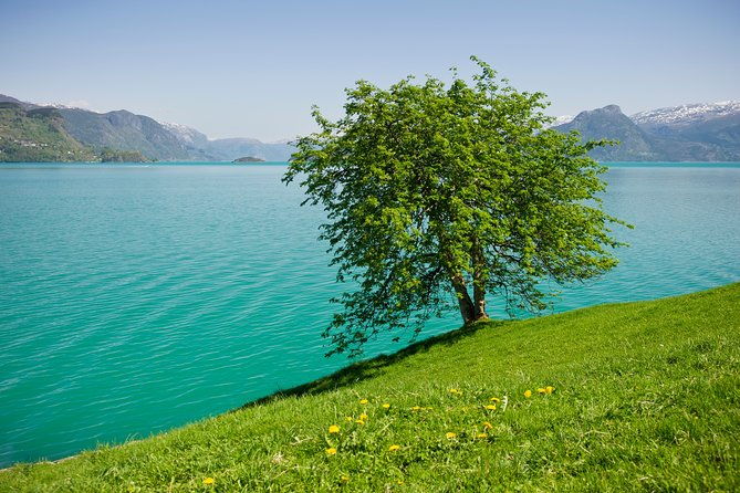 bergen-private-full-day-roundtrip-to-hardangerfjord-with-cruise-2