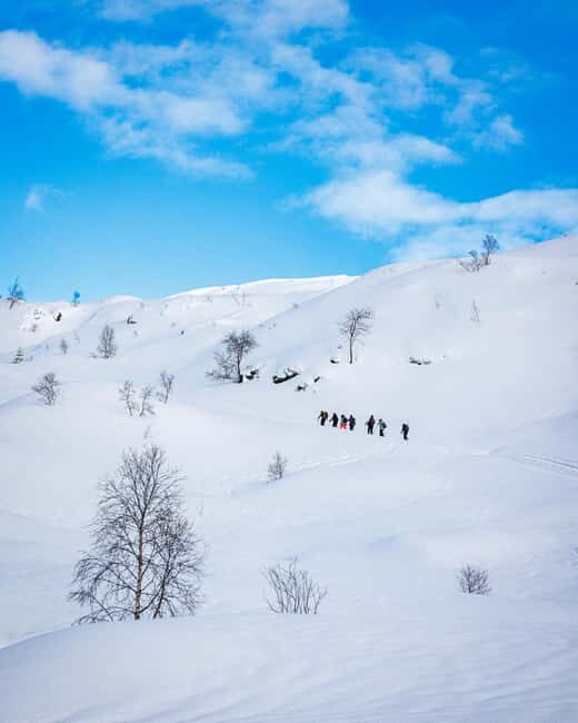 Bergen: Snowshoe Hike - Overview and What to Expect