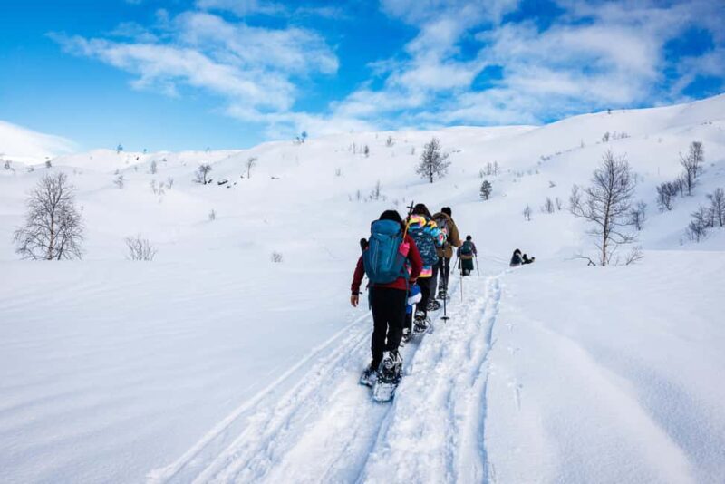 Bergen: Snowshoe Hike - The Summit and Views of the Fjord