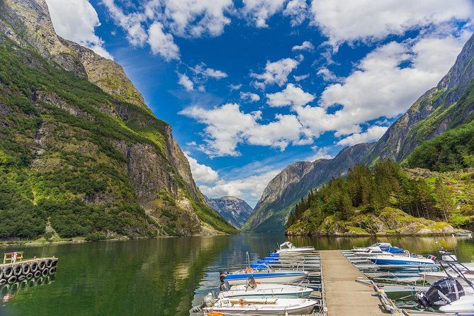 bergen-to-sognefjord-private-roudtrip-with-cruise-and-flasmbana