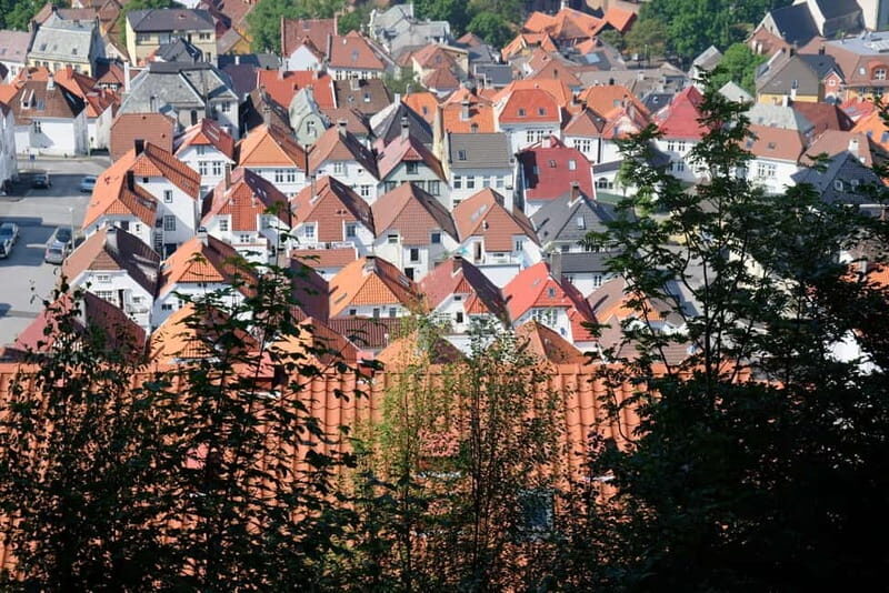 Bergen: Urban Mountain Hiking and History Tour - Key Points