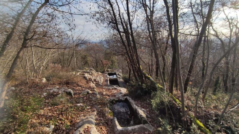 Berici Hills: Guided Hike to Alonte 21/09 only! - Why This Tour Offers Great Value