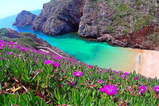 berlengas-island-catamaran-tour-round-trip