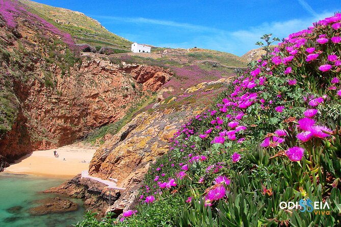 berlengas-island-catamaran-tour-round-trip