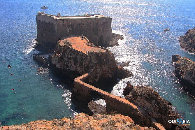 berlengas-island-catamaran-tour-round-trip