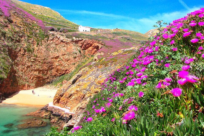 berlengas-island-catamaran-tour-snorkeling