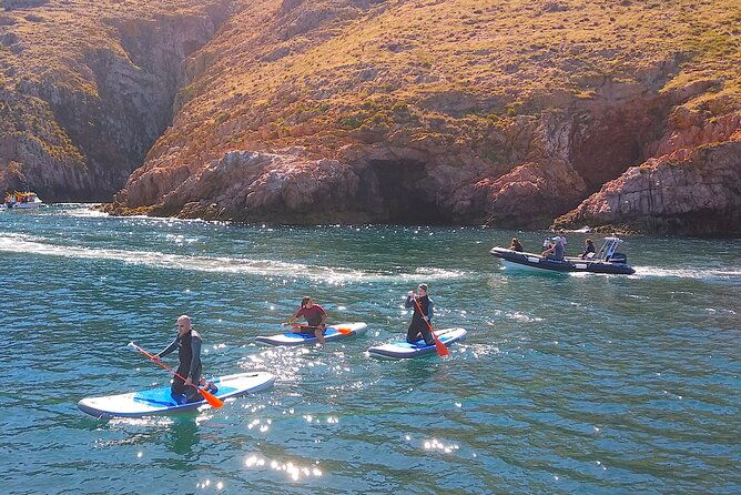 berlengas-island-catamaran-tour-sup