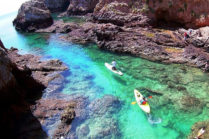 berlengas-island-catamaran-tour-sup