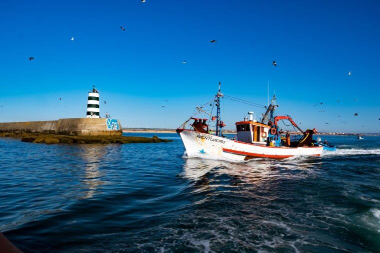 berlengas-the-atlantic-frontier-day-tour-from-lisbon