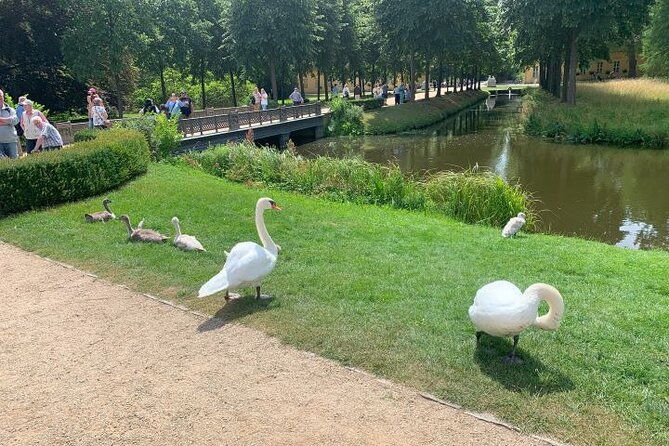 berlin-and-potsdam-private-full-day-tour-by-car