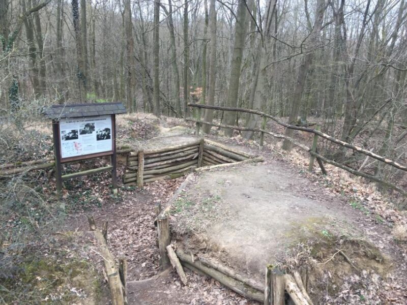 Berlin: Battle for Seelow Heights WW2 tour -Clash of Titans - The Real Depth: What Makes This Tour Stand Out