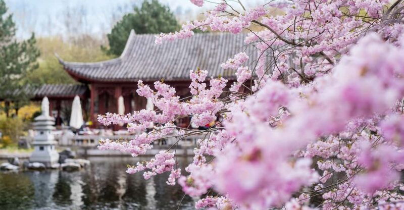 berlin-gardens-of-the-world-guided-tour