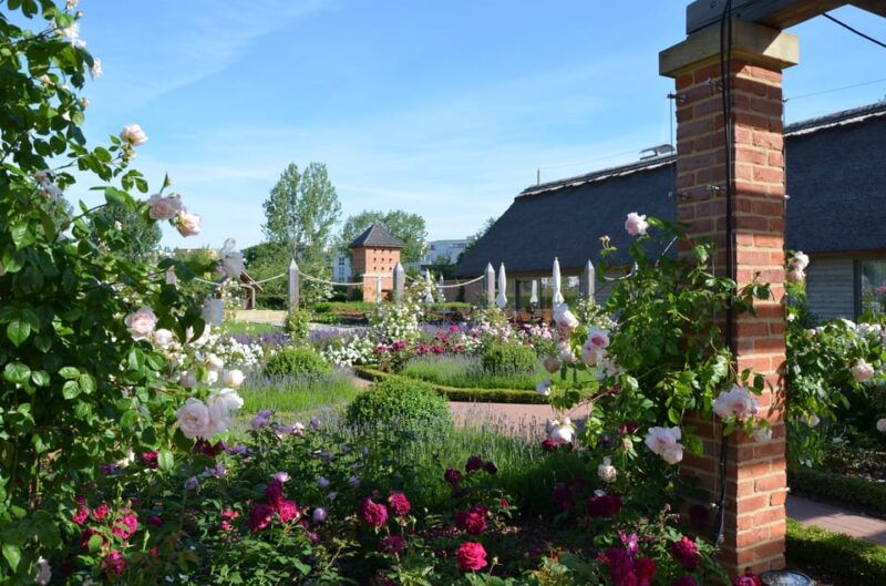 berlin-gardens-of-the-world-guided-tour