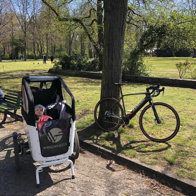 Berlin: Highlights E-Bike Tour with Picnic - Key Points
