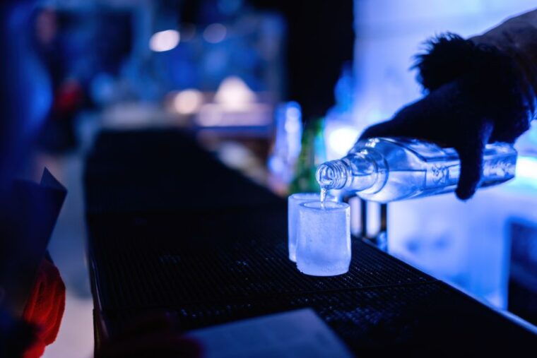 berlin-hop-on-hop-off-bus-and-icebar-ticket-combo