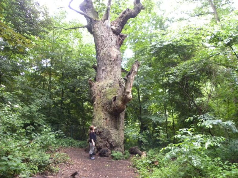 berlin-humboldt-in-tegel-self-guided-city-expedition-tour