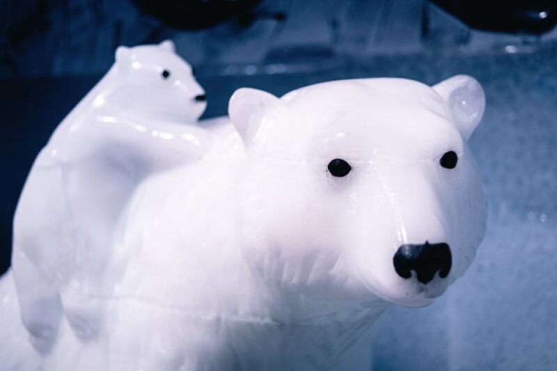 berlin-icebar-entrance-with-complimentary-drinks