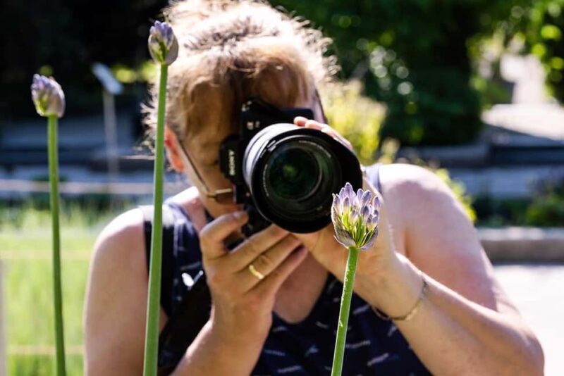 Berlin: Macro photography course - Nature in detail - Key Points