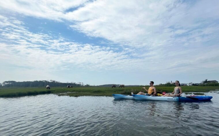 berlin-md-full-half-or-quarter-day-kayak-rental