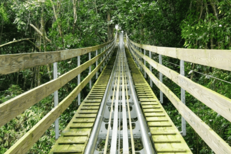 berlin-nature-bobsled-run-ticket