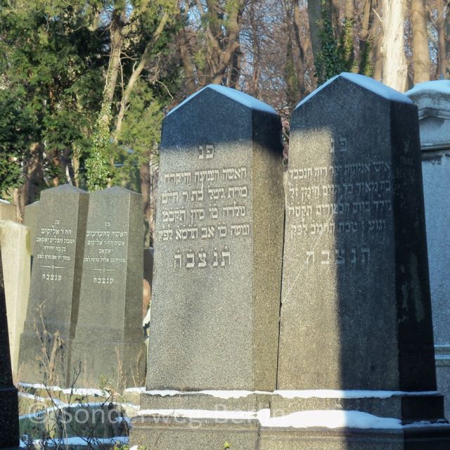 berlin-prenzlauer-berg-district-guided-walking-tour