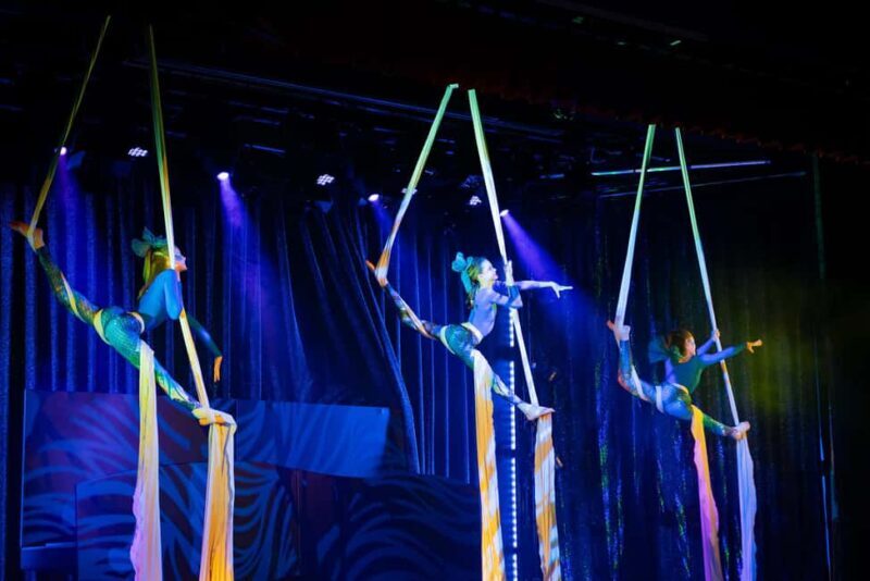 Berlin: Snow White - Children Variety Show Ticket - The Sum Up: Is It Worth It?