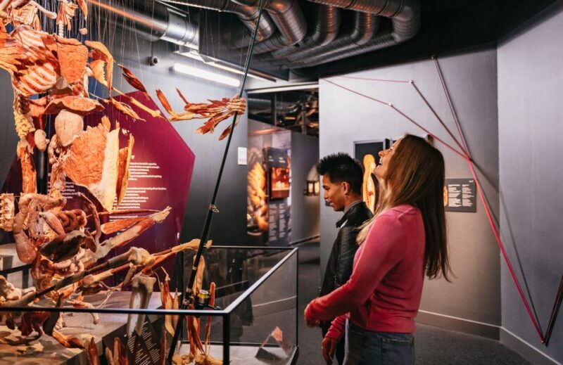 Berlin: Tickets for the BODY WORLDS Museum in Berlin - Who Should Visit?
