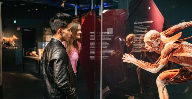 berlin-tickets-for-the-body-worlds-museum-in-berlin