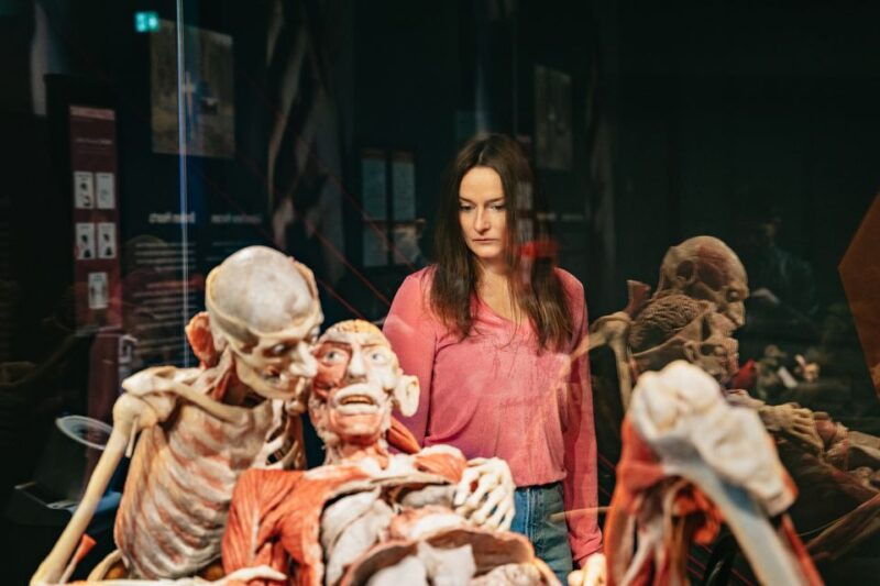 berlin-tickets-for-the-body-worlds-museum-in-berlin