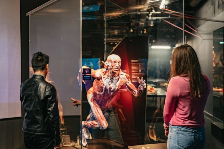 berlin-tickets-for-the-body-worlds-museum-in-berlin