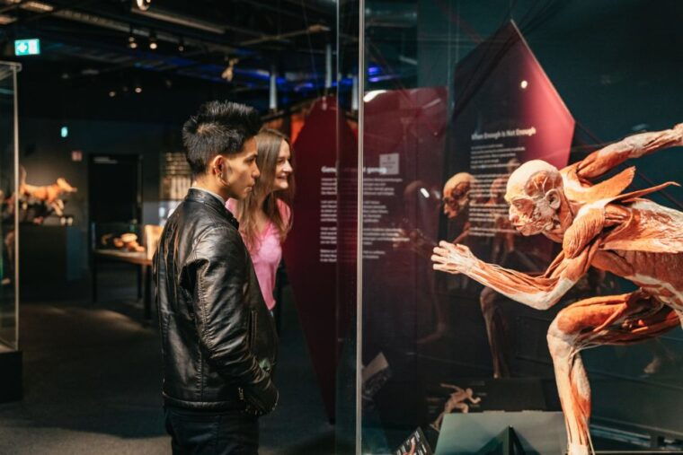 berlin-tickets-for-the-body-worlds-museum-in-berlin