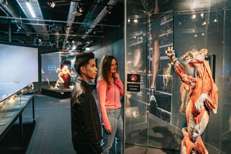 berlin-tickets-for-the-body-worlds-museum-in-berlin