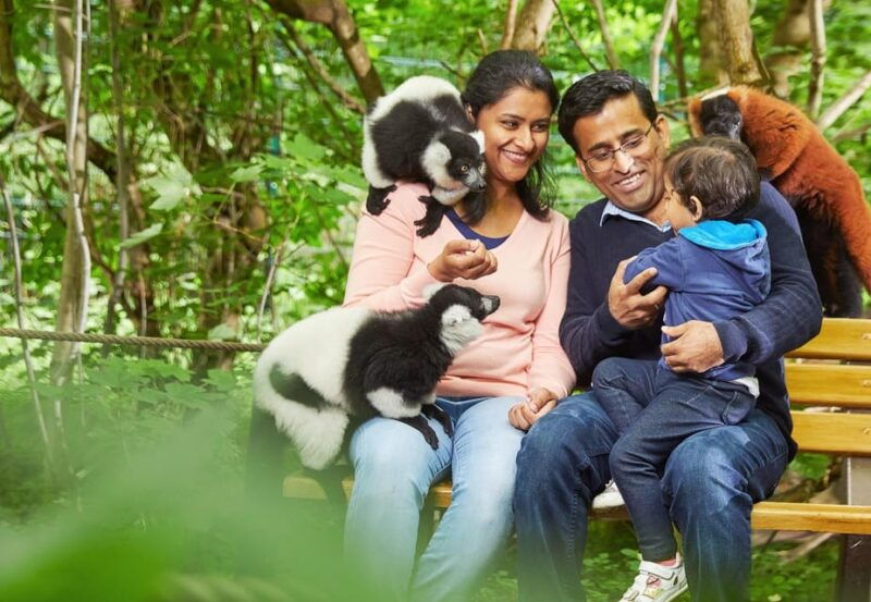 berlin-tickets-for-the-tierpark-in-east-berlin