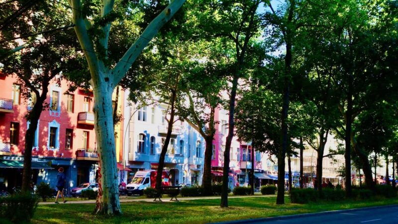 berlin-vegan-food-cultural-walking-tour-in-friedrichshain