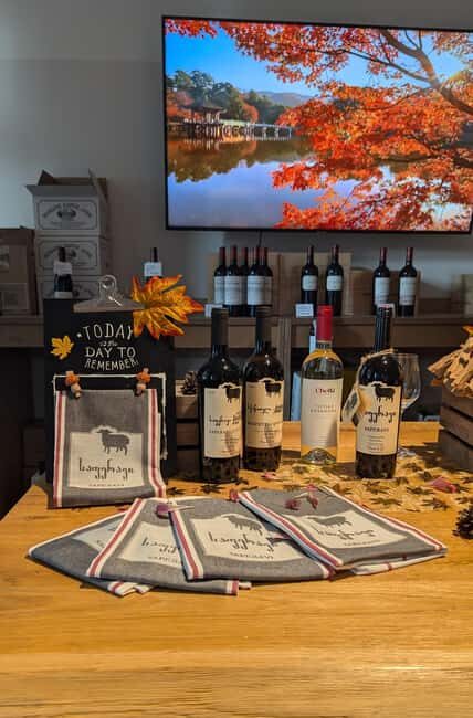 Berlin: Wine Tasting Session with Paired Snacks - Berlin: Wine Tasting Session with Paired Snacks – A Practical and Enjoyable Experience