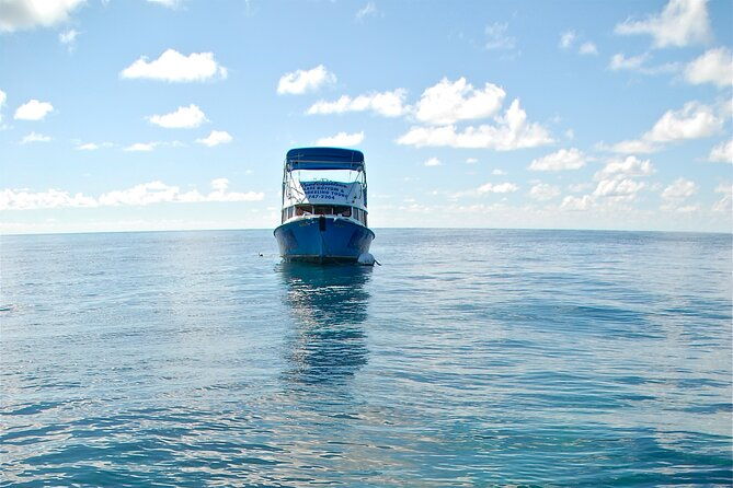 bermuda-glass-bottom-boat-cruise