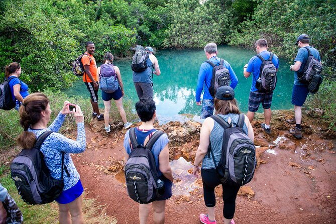 bermuda-hidden-gems-half-day-winter-excursion