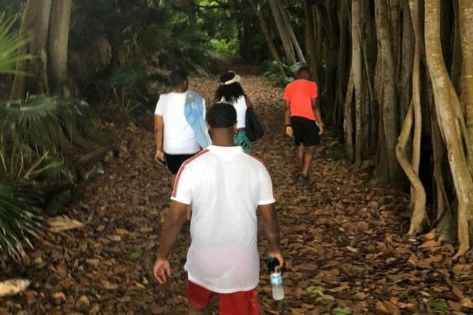 bermuda-railway-trail-and-off-the-beaten-path-walking-experience