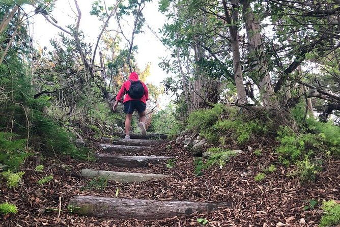 bermuda-railway-trail-and-off-the-beaten-path-walking-experience