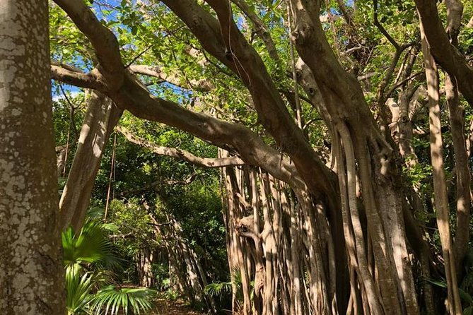 bermuda-railway-trail-and-off-the-beaten-path-walking-experience