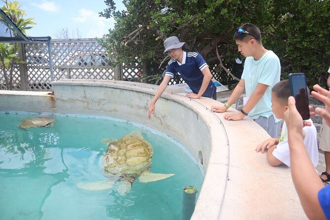 bermudaful-half-island-tour