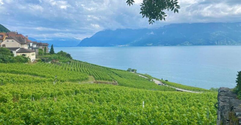 Bern: Gruyères & Lavaux Vineyard Day Trip with Cheese & Wine - Discover Switzerland’s Flavors and Heritage on a Day Trip from Bern