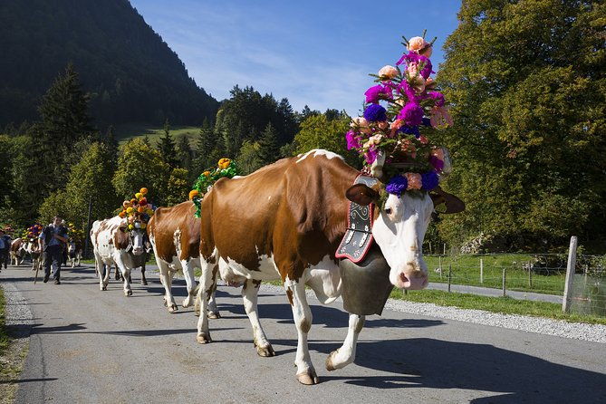berne-the-capital-and-cheese-paradise-emmental-private-tour
