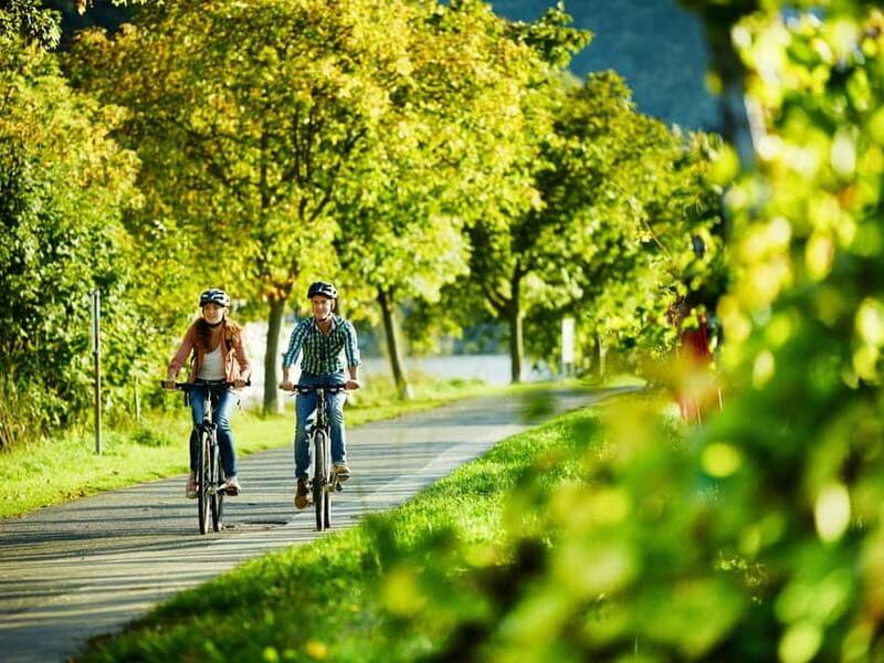 Bernkastel-Kues, Moselle: Bicycle picnic boat tour with wine tasting - Wine Tasting and Visit to the Vinotheque  