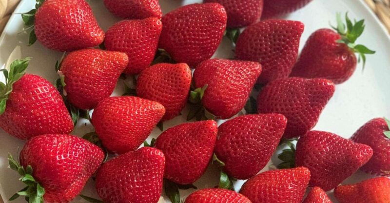 berry-tasting-strawberries-raspberries-and-blueberries