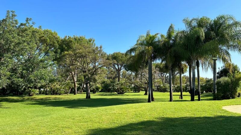 berry-tasting-strawberries-raspberries-and-blueberries