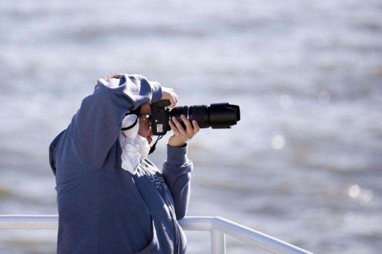 berthier-sur-mer-1000-razorbill-penguins-observation-cruise